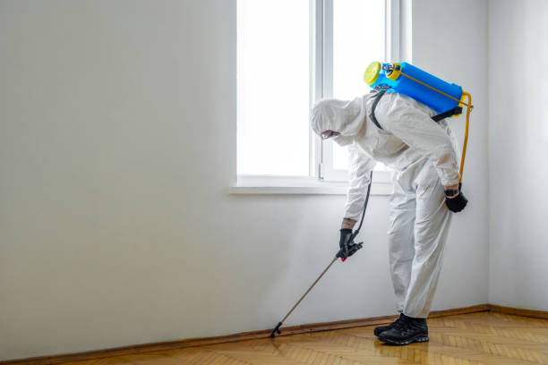 Best Commercial Pest Control Services  in Sea Girt, NJ